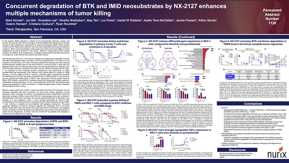 Concurrent-degradation-of-BTK-and-IMiD-neosubstrates-by-NX-2127-enhances-multiple-mechanisms-of-tumor-killing-Thumb