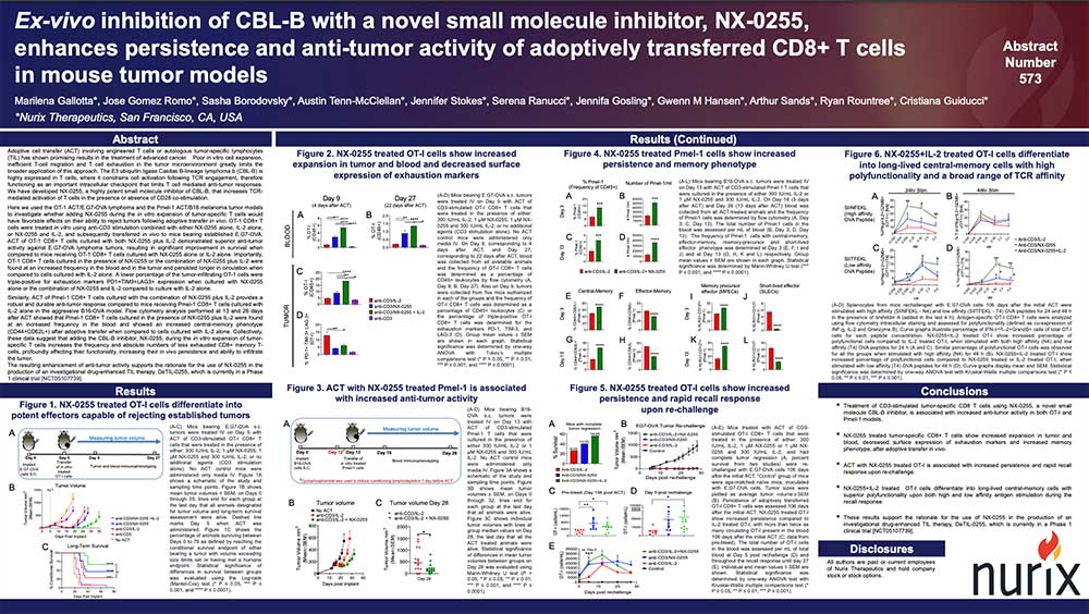 Ex-vivo-inhibition-of-CBL-B-with-a-novel-small-molecule-inhibitor-NX-0255-enhances-persistence-and-anti-tumor-activity-of-adoptively-transferred-CD8-T-cells-in-mouse-tumor-models-Thumb