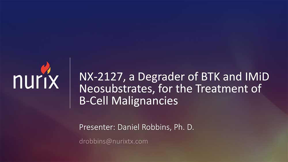 NX-2127-a-Degrader-of-BTK-and-IMiD-Neosubstrates-for-the-Treatment-of-B-Cell-Malignancies-Thumb