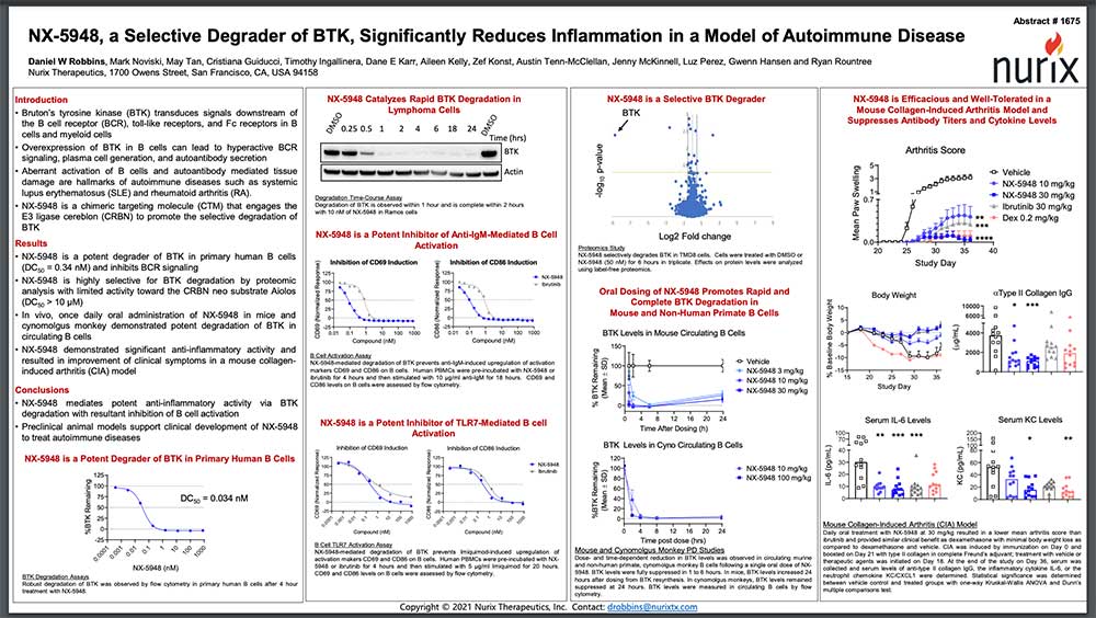 NX-5948-a-Selective-Degrader-of-BTK-Significantly-Reduces-Inflammation-in-a-Model-of-Autoimmune-Disease-Thumb