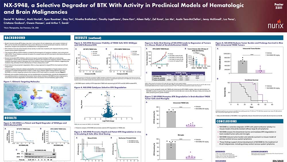 NX‑5948-a-Selective-Degrader-of-BTK-With-Activity-in-Preclinical-Models-of-Hematologic-and-Brain-Malignancies-Thumb