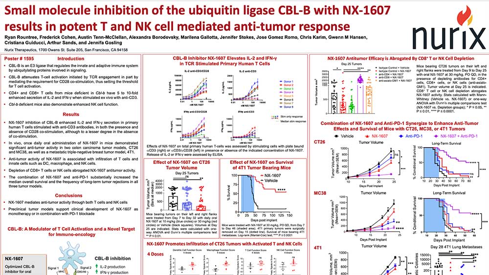 Small-molecule-inhibition-of-the-ubiquitin-ligase-CBL-B-with-NX-1607-results-in-potent-T-and-NK-cell-mediated-anti-tumor-response-Thumb