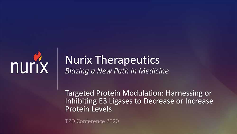 Targeted-Protein-ModulationHarnessing-or-Inhibiting-E3-Ligases-to-Decrease-or-Increase-Protein-Levels-Thumb