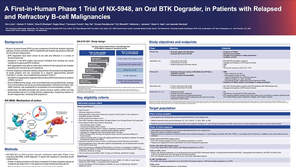 A-First-in-Human-Phase-1-Trial-of-NX-2127,-a-First-in-Class-Oral-BTK-Degrader-With-Immunomodulatory-Activity,-in-Patients-With-Relapsed-and-Refractory-B-Cell-Malignancies-thumb