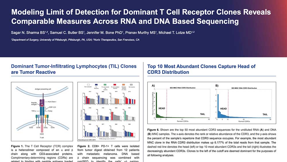 Modeling-Limit-of-Detection-for-Dominant-T-Cell-Receptor-Clones-Reveals-Comparable-Measures-Across-RNA-and-DNA-Based-Sequencing-thumb