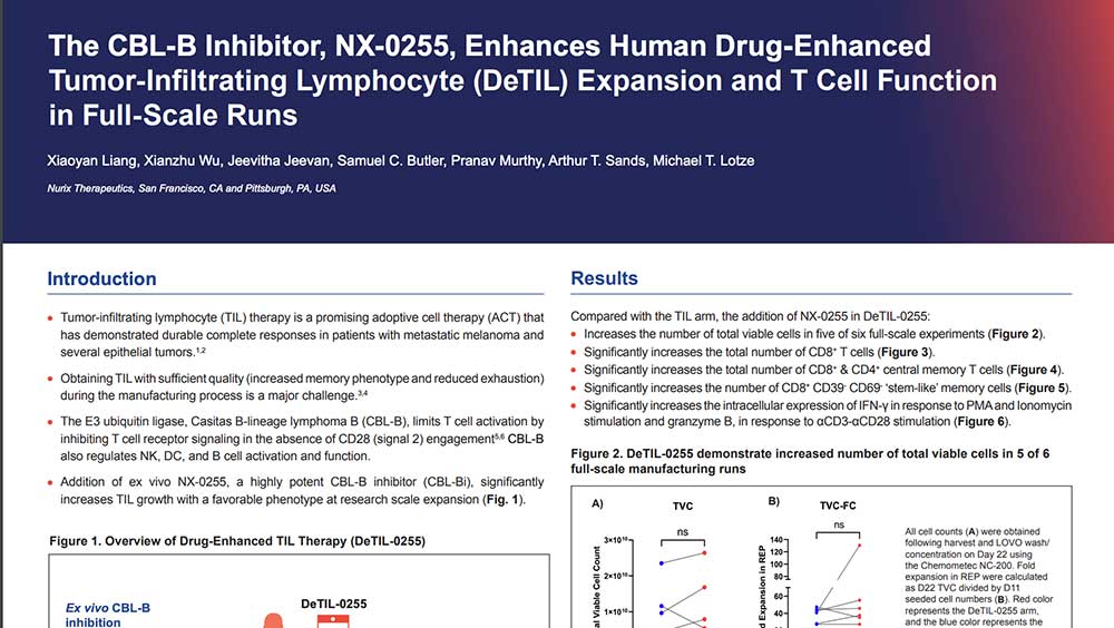 The-CBL-B-Inhibitor,-NX-0255,-Enhances-Human-Drug-Enhanced-Tumor-Infiltrating-Lymphocyte-(DeTIL)-Expansion-and-T-Cell-Function-in-Full-Scale-Runs-thumb