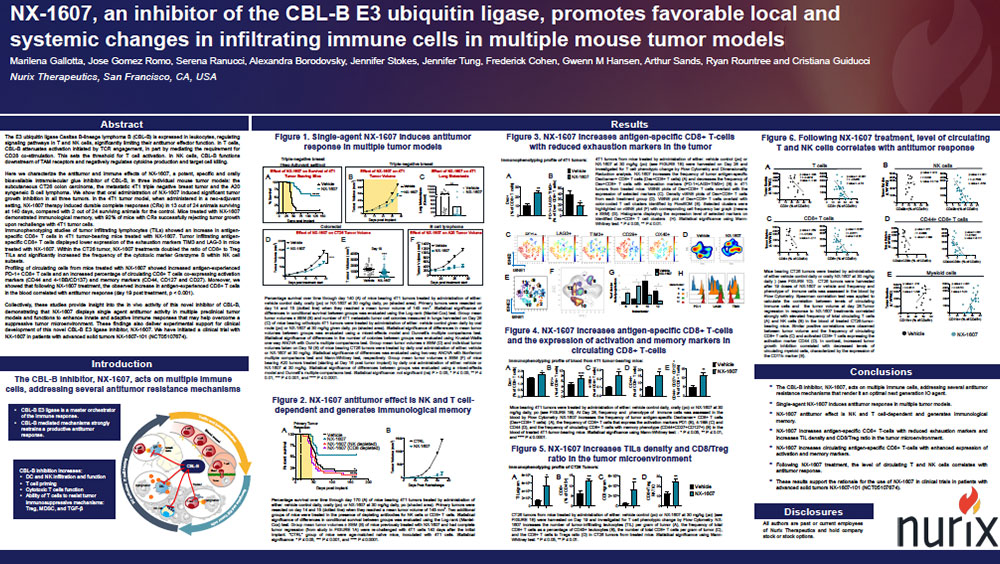 NX-1607,-an-inhibitor-of-the-CBL-B-E3-ubiquitin-ligase,-promotes-favorable-local-and-systemic-changes-in-infiltrating-immune-cells-in-multiple-mouse-tumor-models-thumb