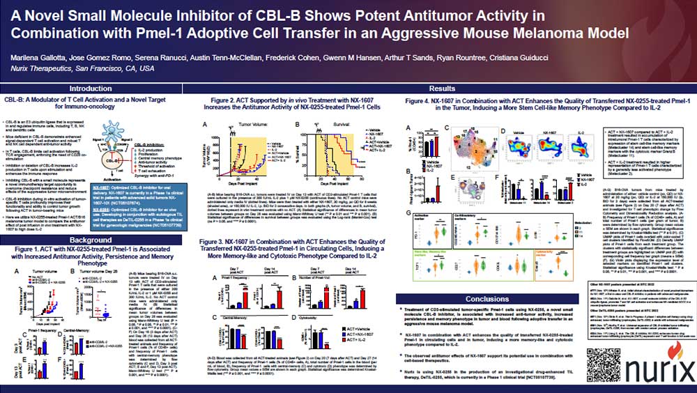 A-Novel-Small-Molecule-Inhibitor-of-CBL-B-Shows-Potent-Antitumor-Activity-in-Combination-with-Pmel-1-Adoptive-Cell-Transfer-in-an-Aggressive-Mouse-Melanoma-Model-thumb