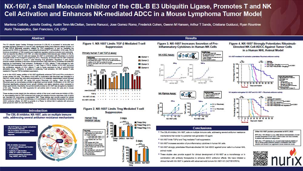 NX-1607,-a-Small-Molecule-Inhibitor-of-the-CBL-B-E3-Ubiquitin-Ligase,-Promotes-T-and-NK-Cell-Activation-and-Enhances-NK-mediated-ADCC-in-a-Mouse-Lymphoma-Tumor-Model-thumb