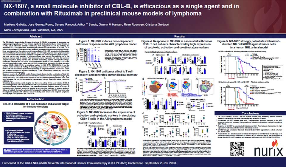 NX-1607-a-small-molecule-inhibitor-of-CBL-B,-is-efficacious-as-a-single-agent-and-in-combination-with-Rituximab-in-preclinical-mouse-models-of-lymphoma-thumb