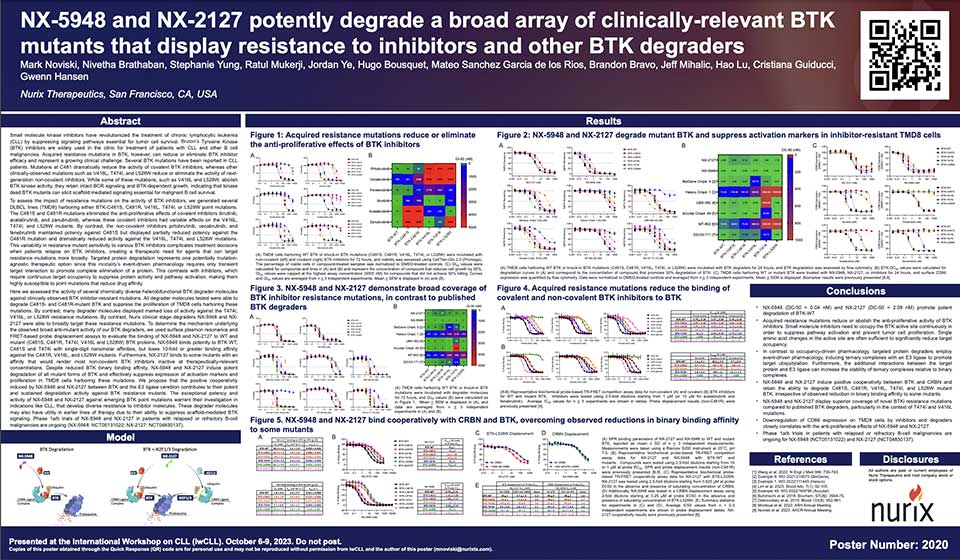 NX-5948 and NX-2127 potently degrade a broad array of clinically-relevant BTK mutants that display resistance to inhibitors and other BTK degraders thumb